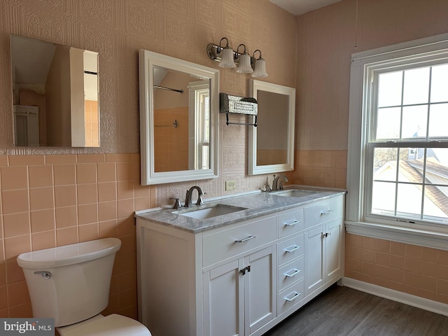 bathroom featuring vanity, wood-type flooring, and toilet