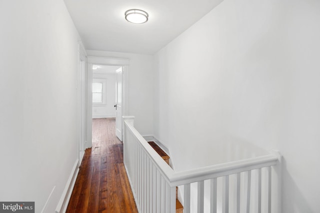 hallway featuring dark hardwood / wood-style flooring