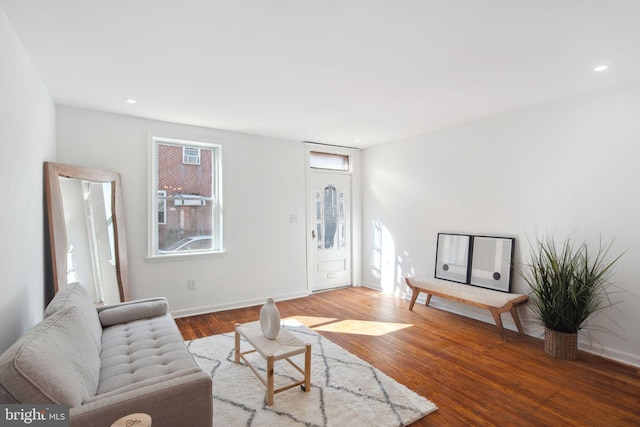 living room featuring hardwood / wood-style flooring and a healthy amount of sunlight