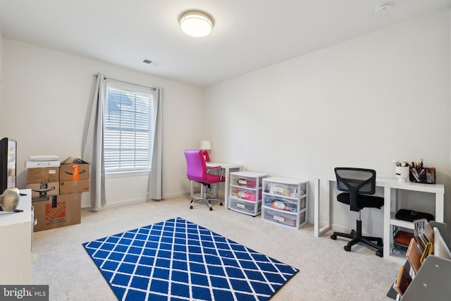 interior space with carpet floors