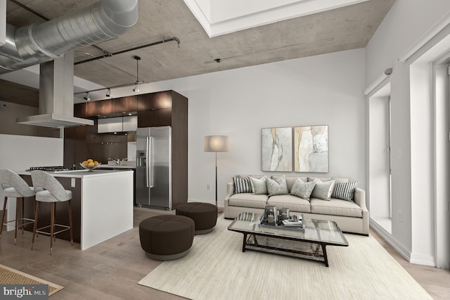 living room featuring light wood-type flooring and rail lighting