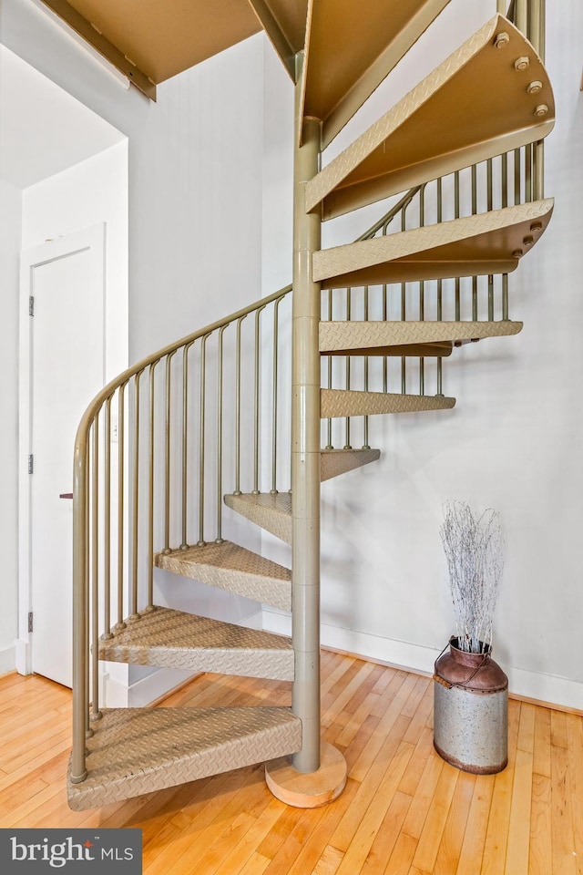 stairs with hardwood / wood-style flooring