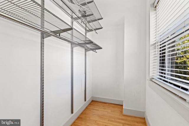 walk in closet with light wood-type flooring