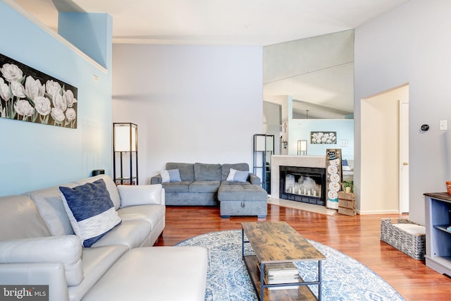 living room with wood-type flooring and lofted ceiling