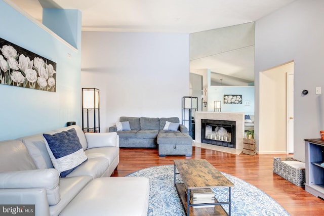 living room with hardwood / wood-style flooring and lofted ceiling