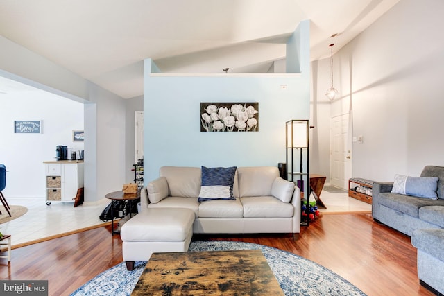 living room featuring wood-type flooring and lofted ceiling