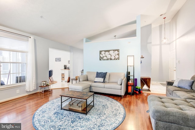 living room with wood-type flooring and vaulted ceiling