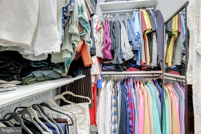 view of spacious closet