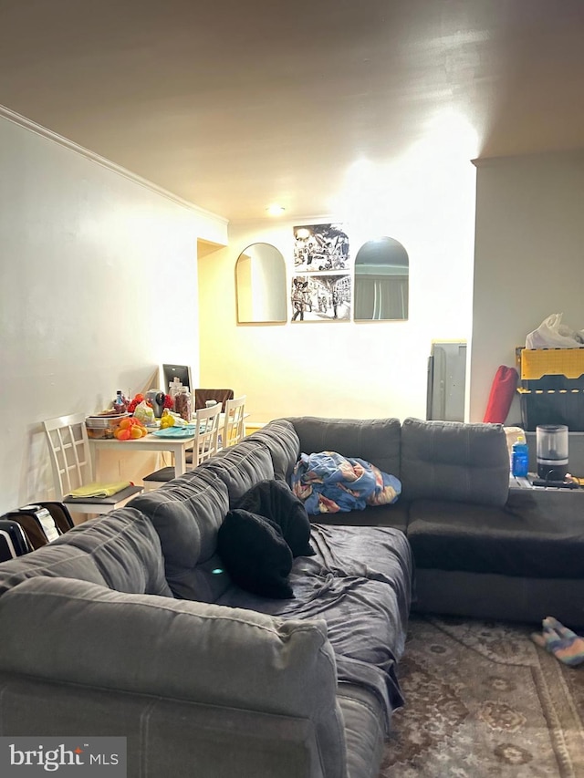 living room with crown molding