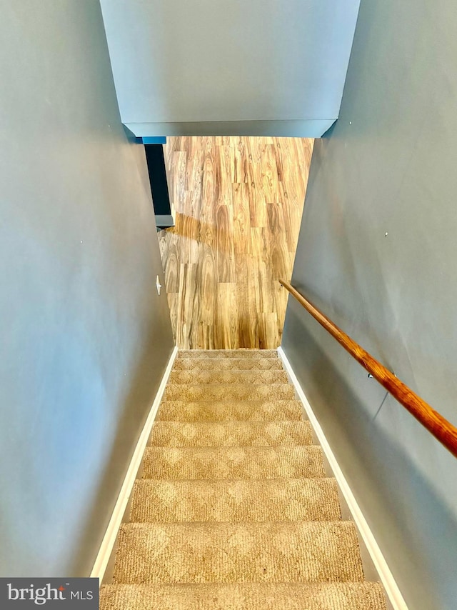 stairs featuring carpet