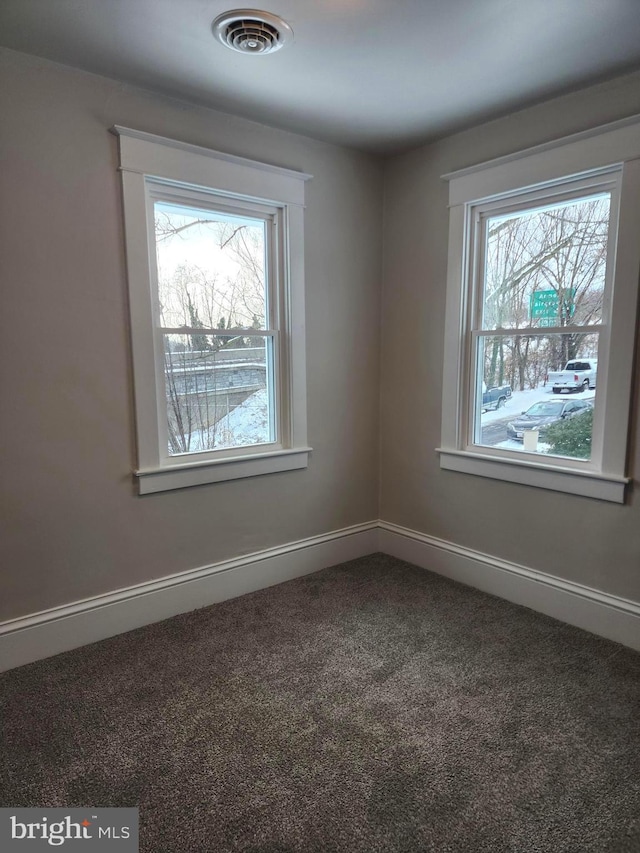 unfurnished room with carpet and a wealth of natural light