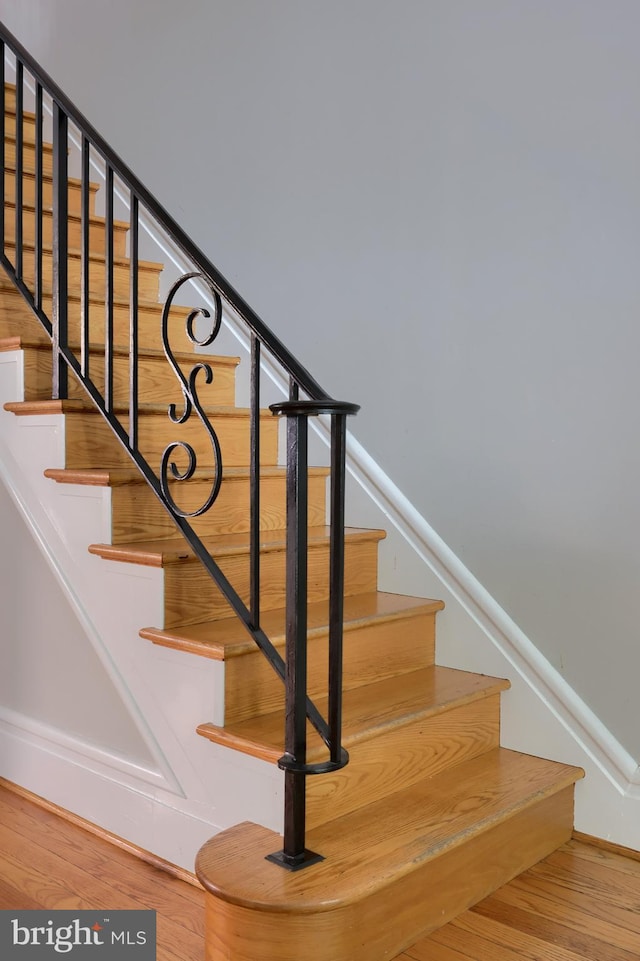 staircase featuring wood-type flooring