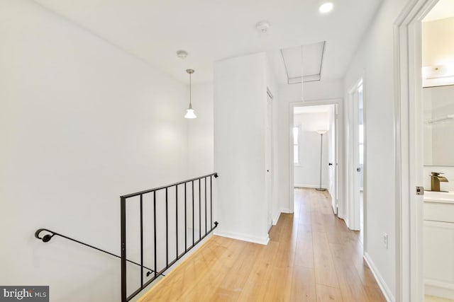 hall featuring light hardwood / wood-style flooring and sink