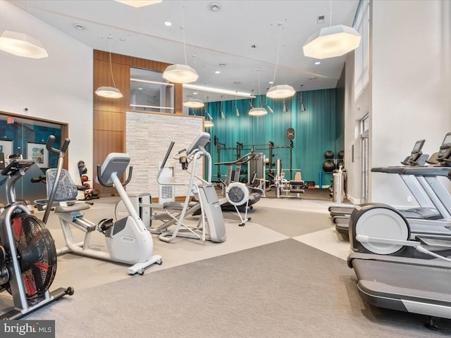 workout area with carpet