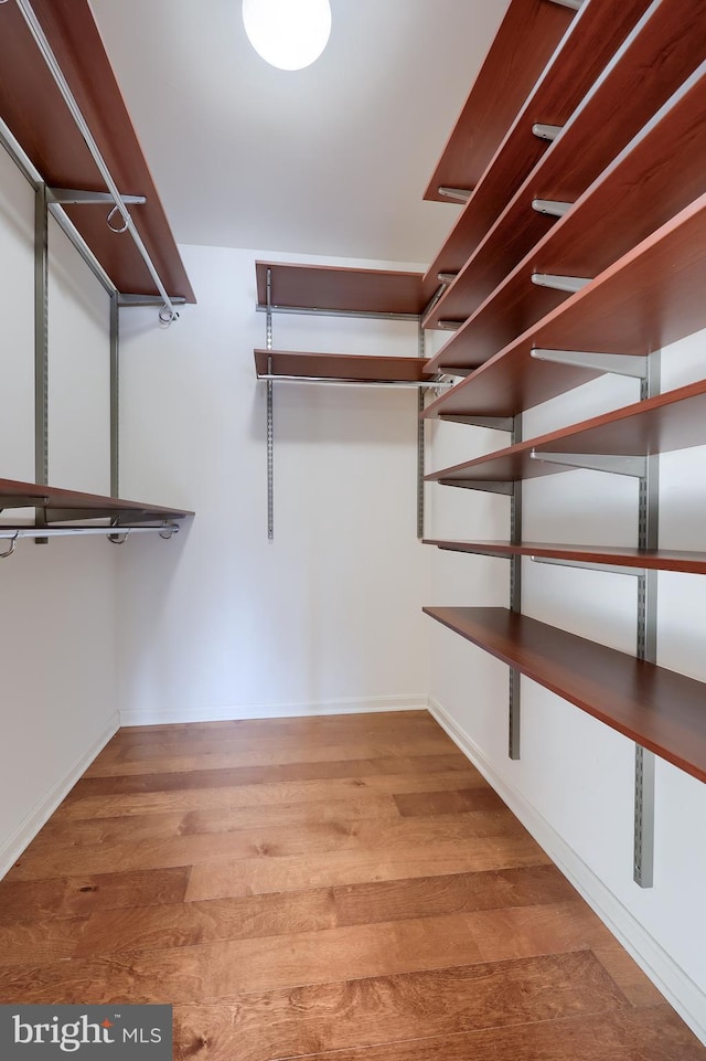 walk in closet with light wood-type flooring