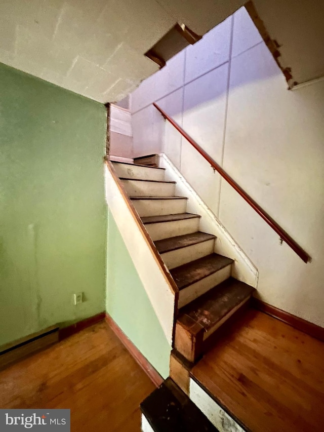 stairs with wood-type flooring