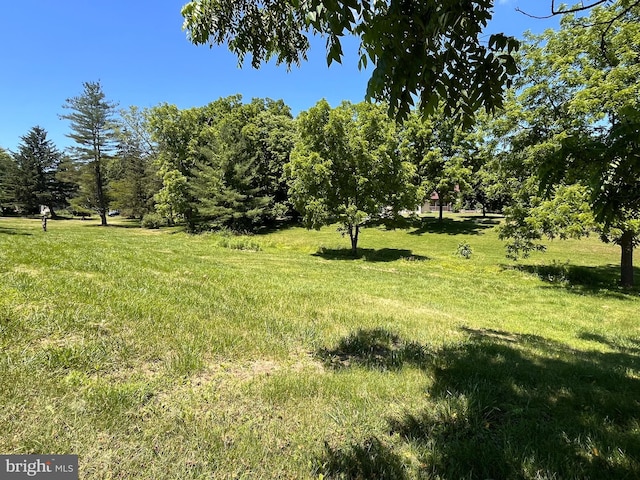 view of landscape