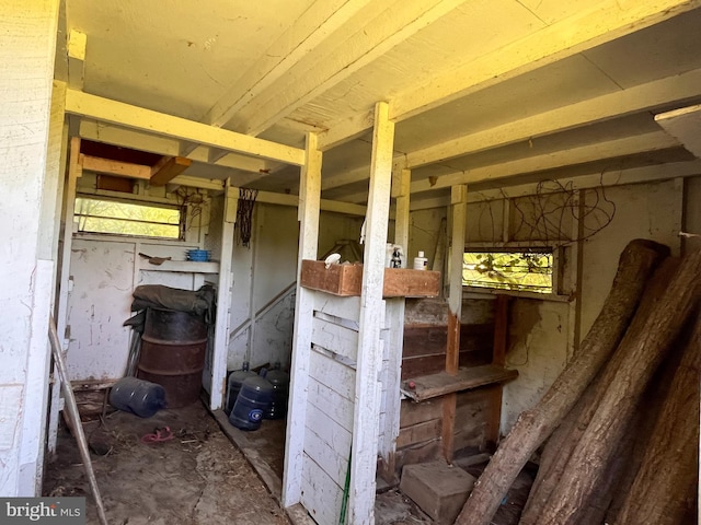 view of horse barn