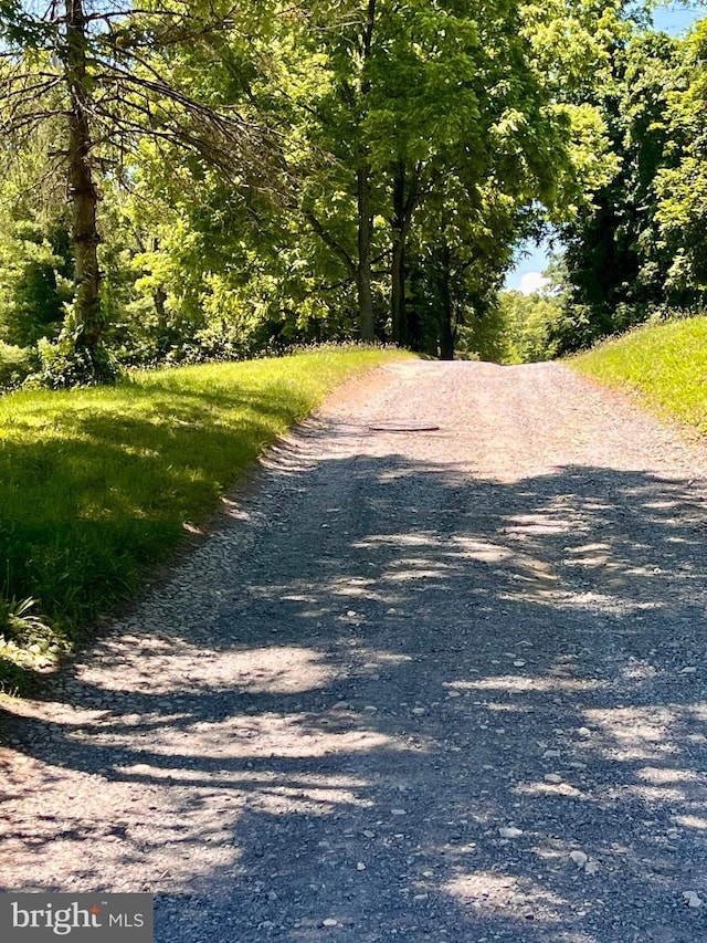 view of road