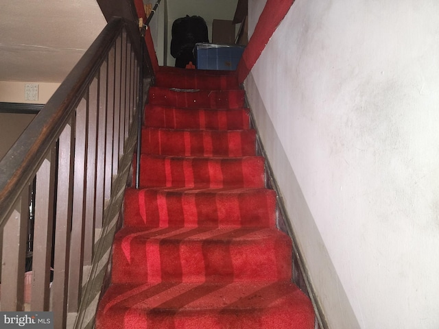 staircase with carpet floors