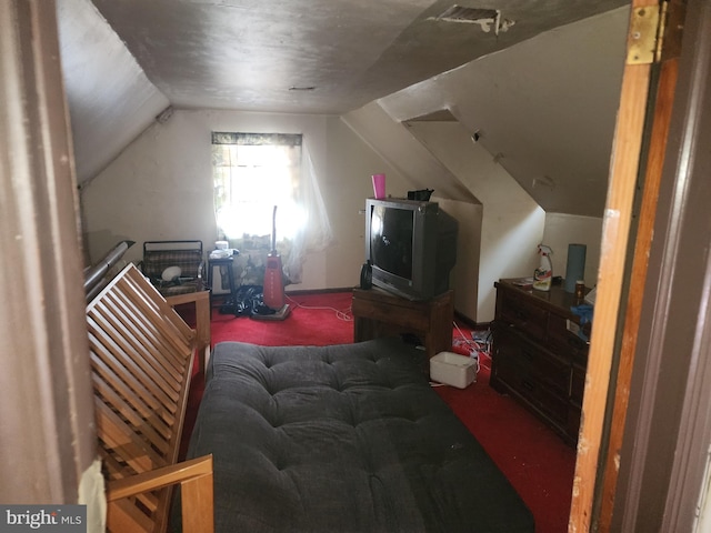 additional living space with carpet floors and vaulted ceiling