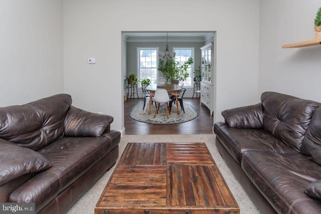 living room featuring hardwood / wood-style floors and ornamental molding