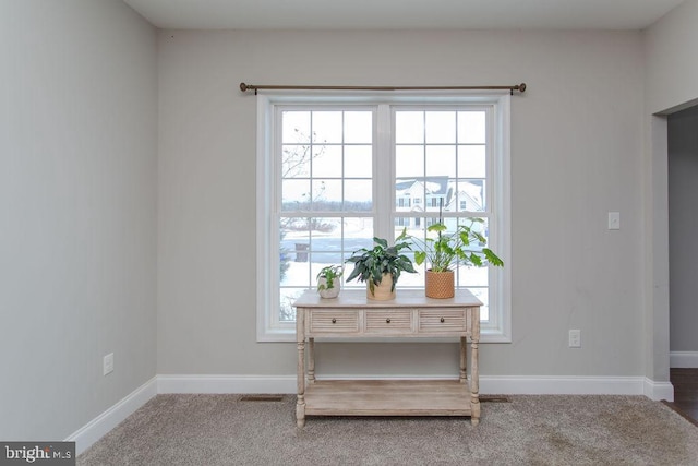 interior space featuring carpet