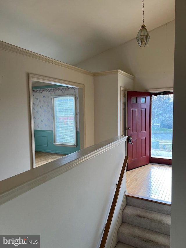 foyer with plenty of natural light, wood-type flooring, and lofted ceiling