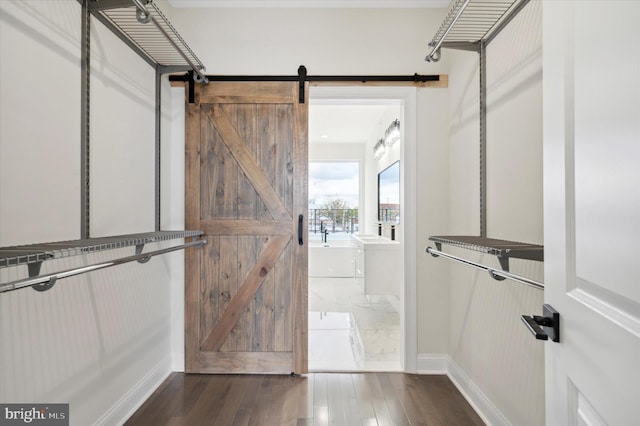 walk in closet featuring a barn door and dark wood-type flooring