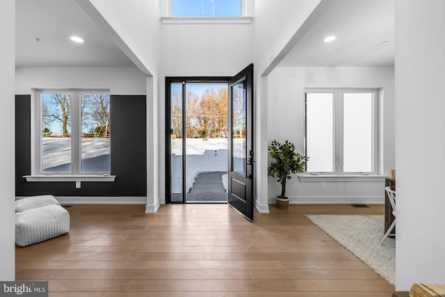 entrance foyer featuring hardwood / wood-style flooring and a high ceiling