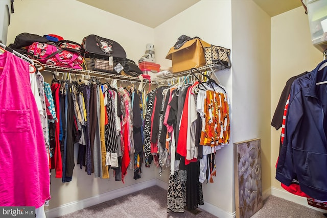 spacious closet featuring carpet floors