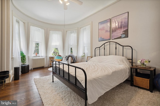 bedroom with ceiling fan, dark hardwood / wood-style flooring, and radiator heating unit