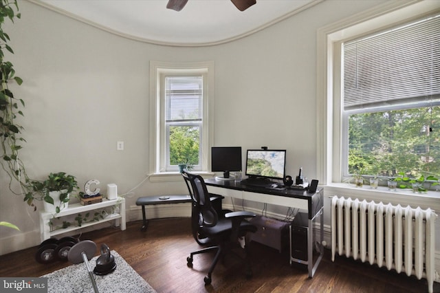 office space featuring dark hardwood / wood-style flooring, ceiling fan, and radiator heating unit