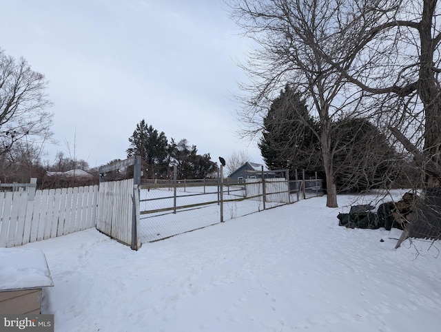 view of yard layered in snow