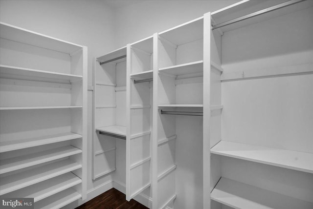 view of walk in closet