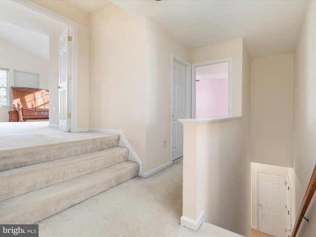 staircase featuring carpet