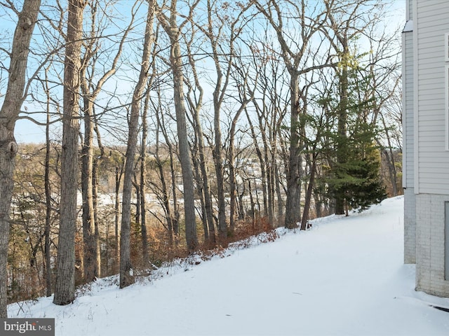 view of snowy yard