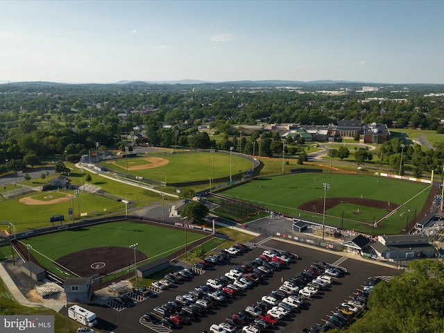 drone / aerial view