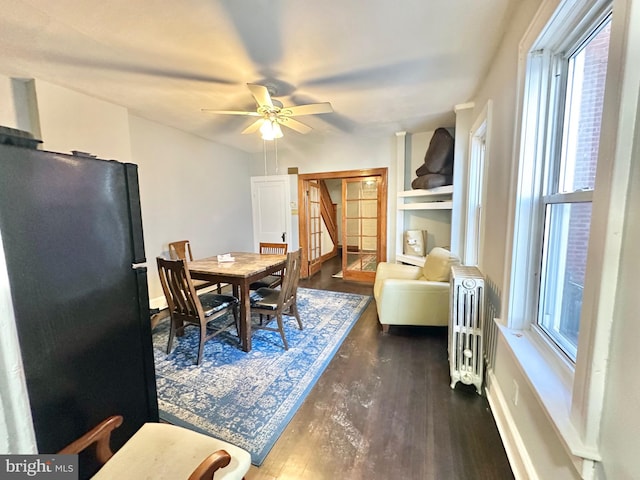 dining space with ceiling fan, plenty of natural light, dark wood-type flooring, and radiator