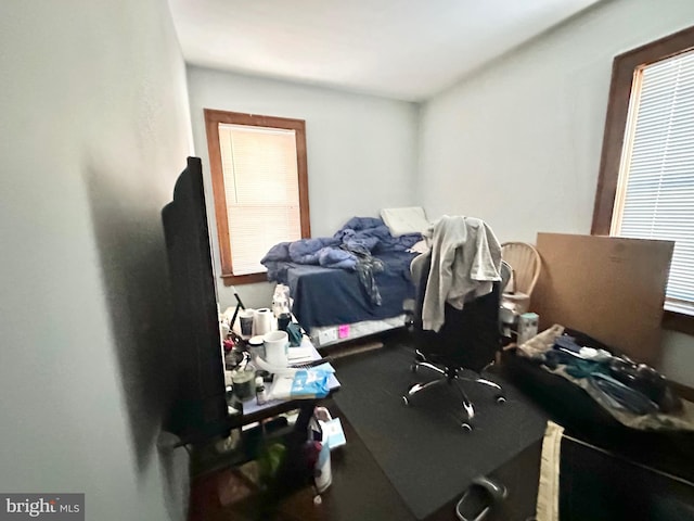 bedroom featuring carpet and multiple windows