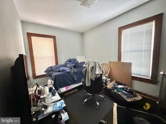 bedroom with carpet floors