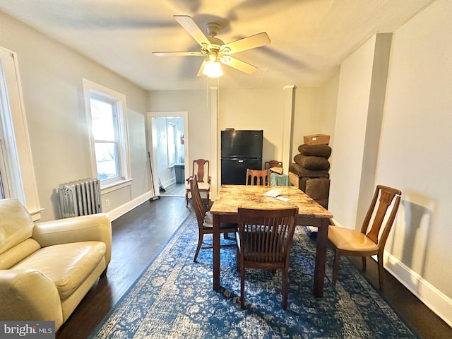 dining area featuring dark hardwood / wood-style floors, radiator, and ceiling fan