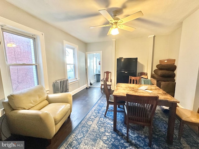 dining space featuring ceiling fan, dark hardwood / wood-style floors, and radiator heating unit