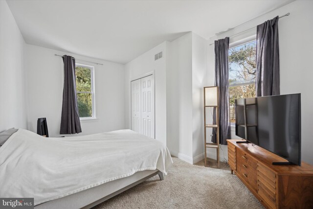 carpeted bedroom featuring a closet