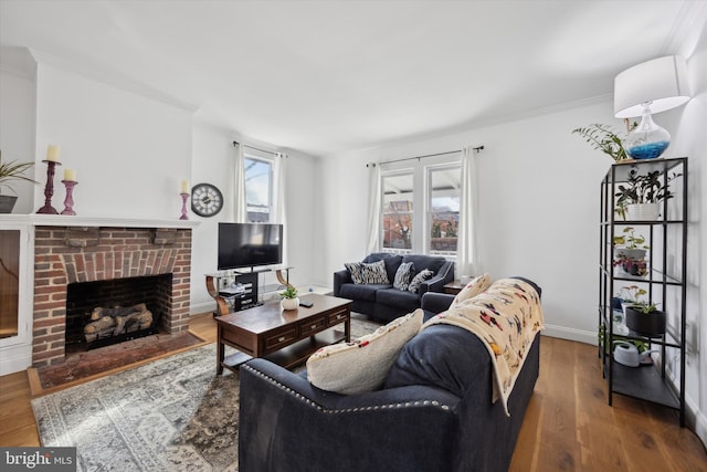 living room featuring ornamental molding, wood-type flooring, and a fireplace