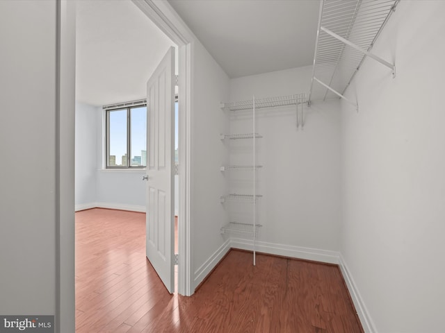 spacious closet featuring wood-type flooring