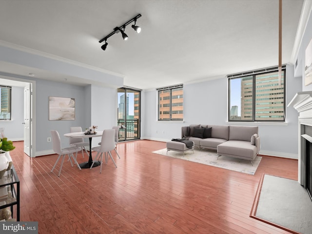 living room with track lighting, ornamental molding, and wood-type flooring