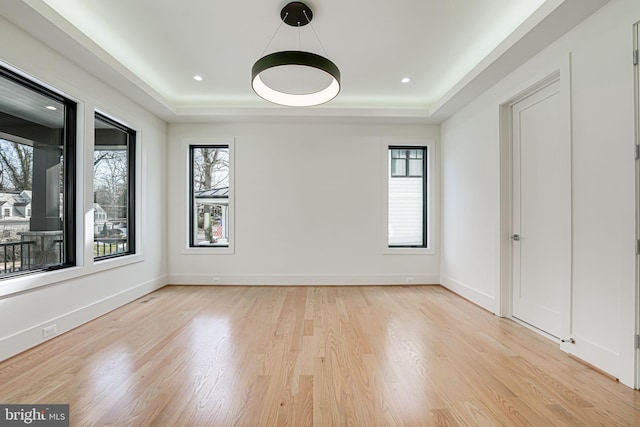 unfurnished room featuring a raised ceiling, a wealth of natural light, and light hardwood / wood-style floors