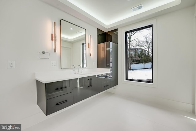 bathroom featuring a raised ceiling and vanity