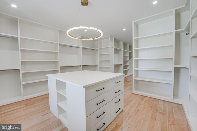 spacious closet with light wood-type flooring